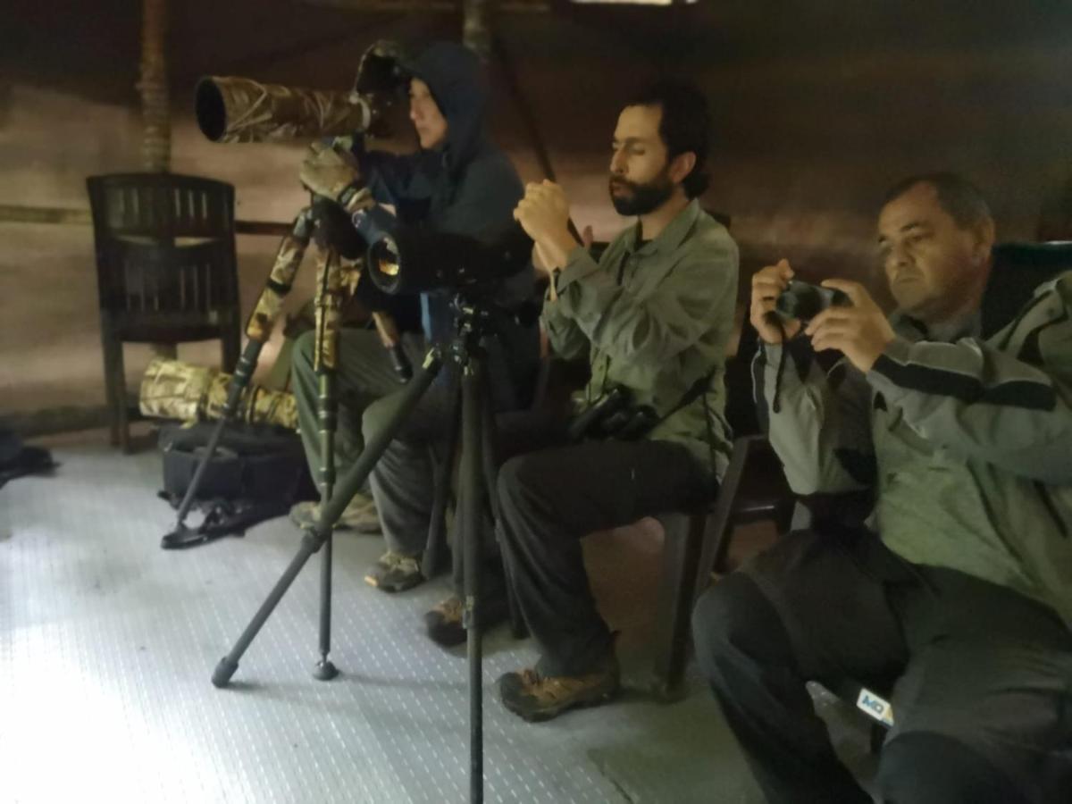 Bosque De Niebla Birding & Nature Cali Exteriér fotografie
