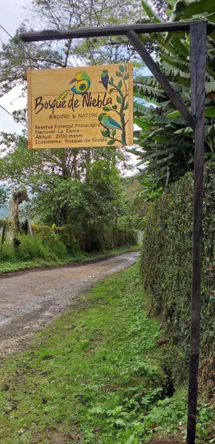 Bosque De Niebla Birding & Nature Cali Exteriér fotografie