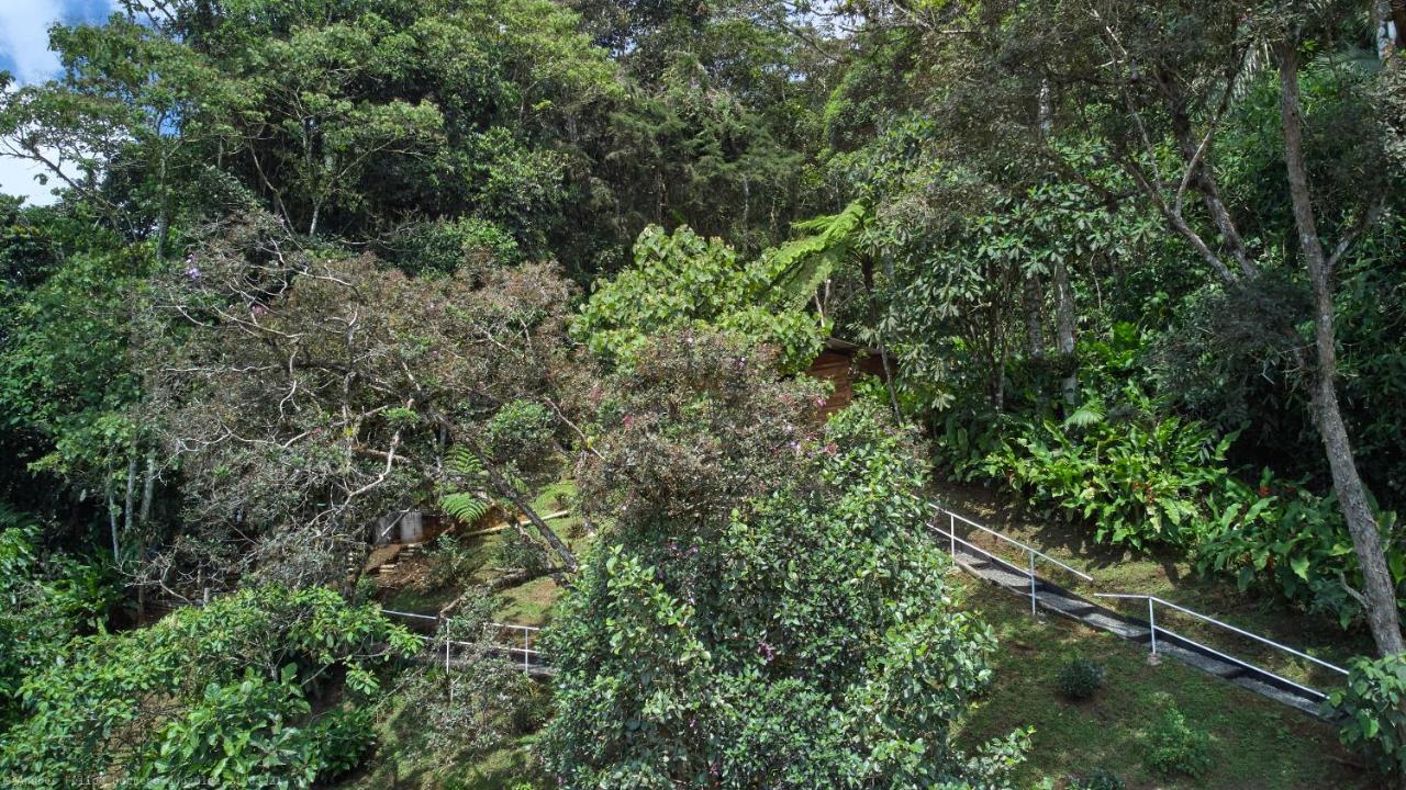 Bosque De Niebla Birding & Nature Cali Exteriér fotografie